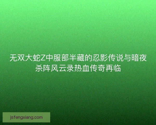 无双大蛇Z中服部半藏的忍影传说与暗夜杀阵风云录热血传奇再临